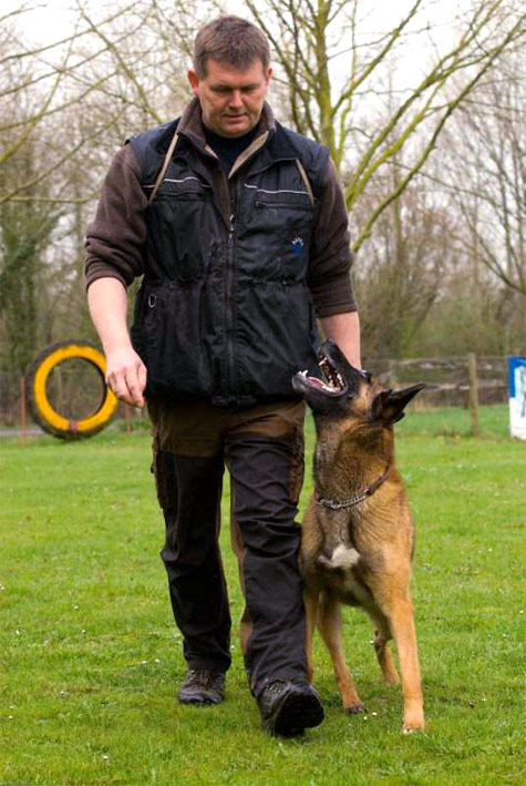 Dog-Center Bergerland Nordkirchen Münsterland - Martin Weitkamp