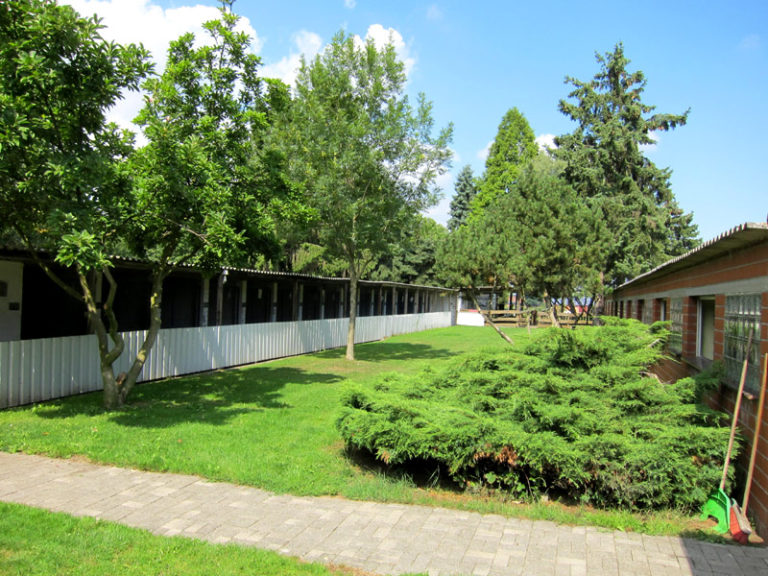 Hundepension Bergerland Nordkirchen - Unsere Pension