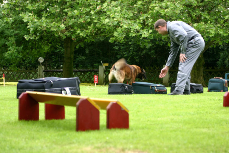 Hundeschule Bergerland Nordkirchen - Sprengstoffspürhunde, Polizeihunde, Spezialhunde