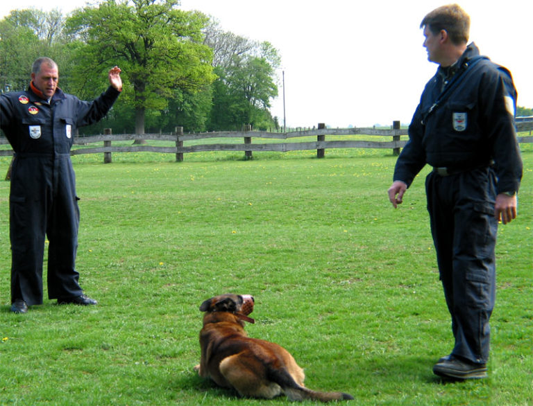 Hundeschule Bergerland Nordkirchen - Training Schutzhunde, Polizeihunde, Spezialhunde