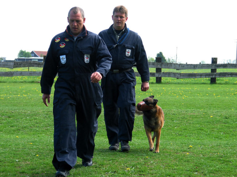 Hundeschule Bergerland Nordkirchen - Training Schutzhunde, Polizeihunde, Spezialhunde