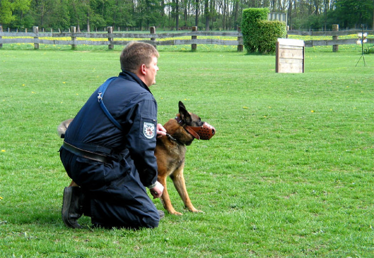 Hundeschule Bergerland Nordkirchen - Training Schutzhunde, Polizeihunde, Spezialhunde