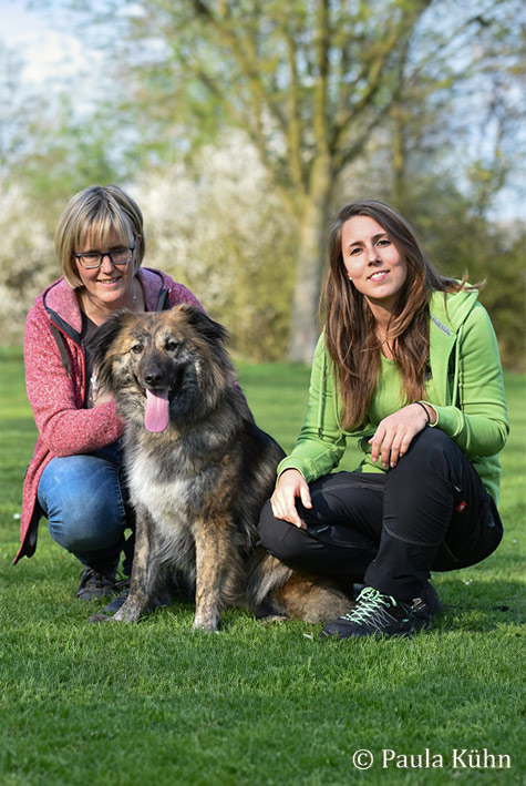 Dog-Center Bergerland Nordkirchen Münsterland - Sandra Weitkamp
